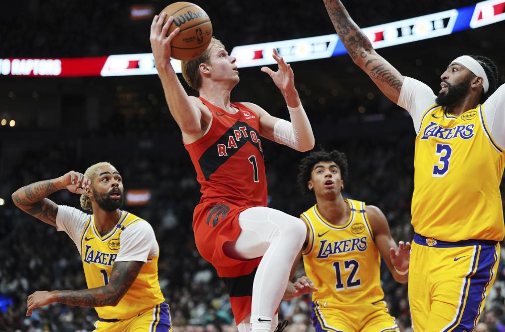 多年来在欧 多年来在欧